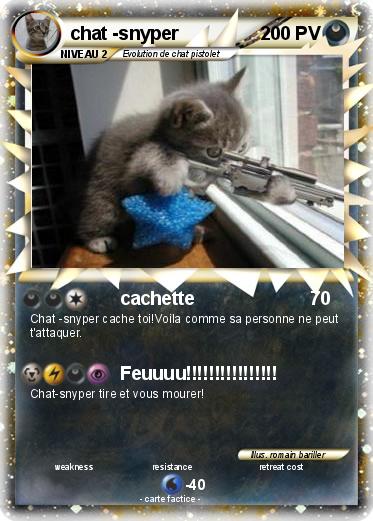 Pokemon chat -snyper