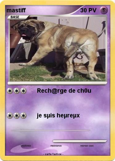 Pokemon mastiff