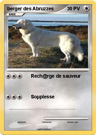 Pokemon berger des Abruzzes