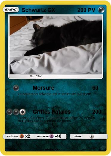 Pokemon Schwartz GX