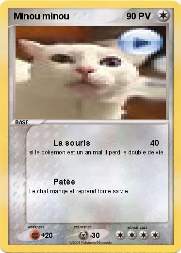 Pokemon Minou minou