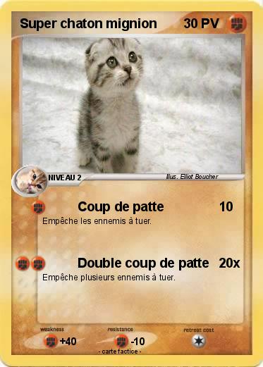Pokemon Super chaton mignion
