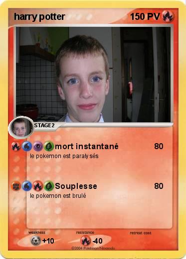 Pokemon harry potter