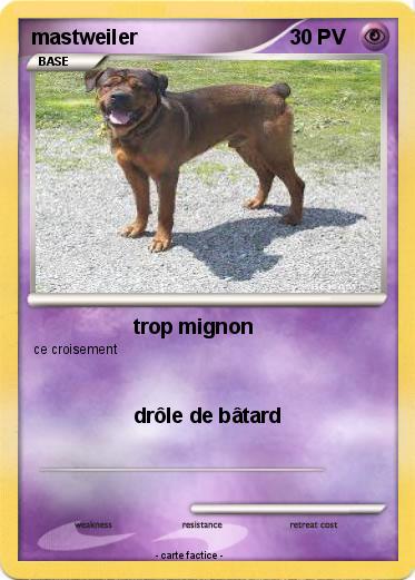 Pokemon mastweiler