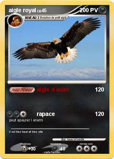 Pokemon aigle royal