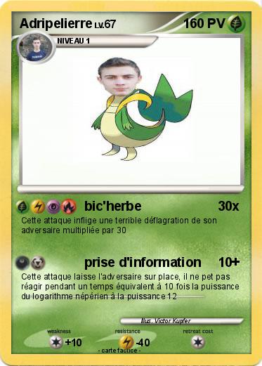 Pokemon Adripelierre