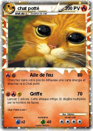 Pokemon chat potté