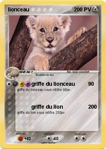 Pokemon lionceau