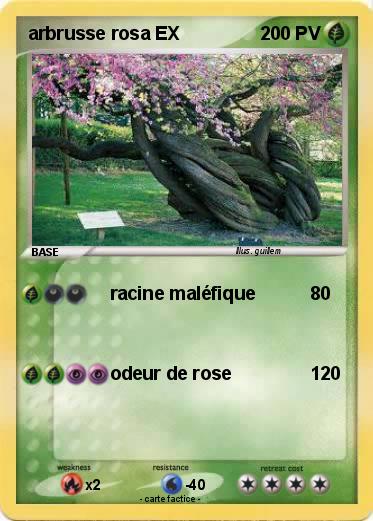 Pokemon arbrusse rosa EX