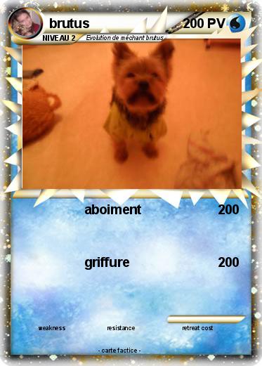 Pokemon brutus