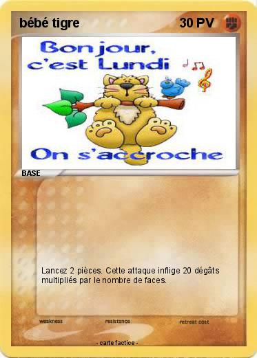 Pokemon bébé tigre