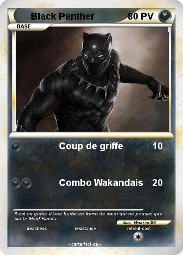 Pokemon Black Panther