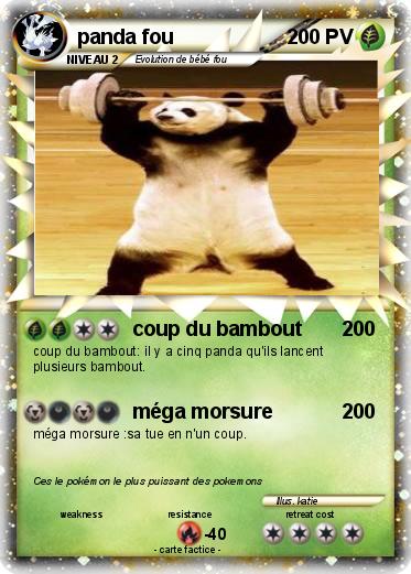 Pokemon panda fou