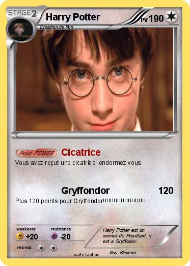 Pokemon Harry Potter