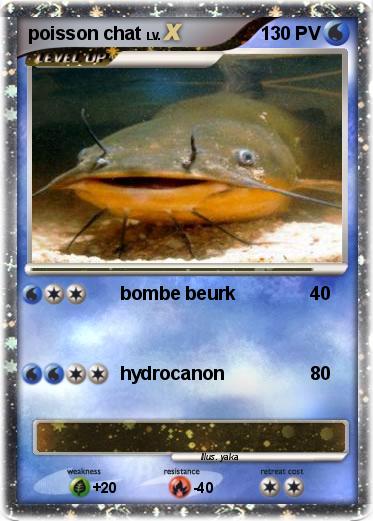 Pokemon poisson chat