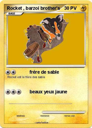 Pokemon Rocket , barzoi brother's