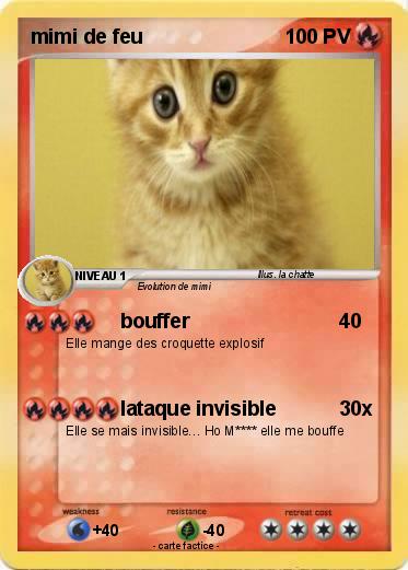 Pokemon mimi de feu