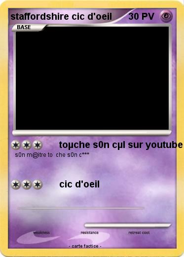 Pokemon staffordshire cic d'oeil