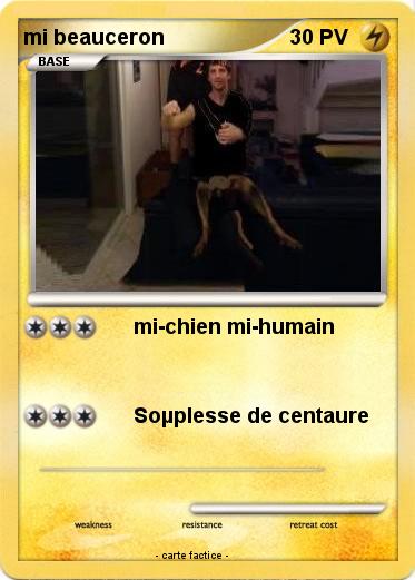 Pokemon mi beauceron