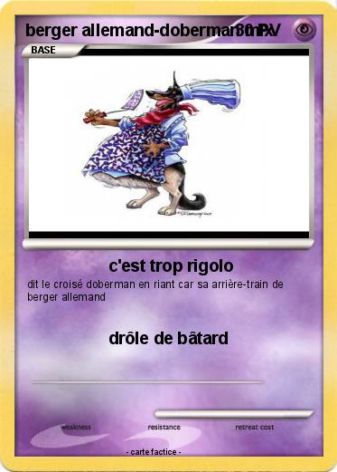 Pokemon berger allemand-doberman mix