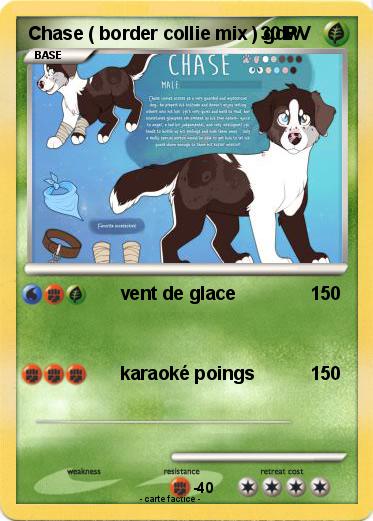 Pokemon Chase ( border collie mix ) gdw