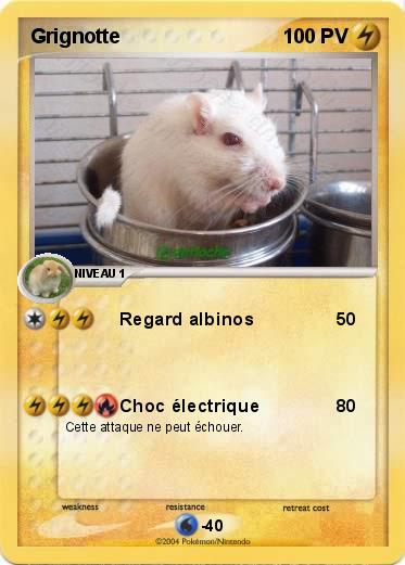 Pokemon Grignotte