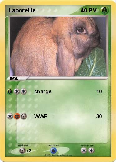 Pokemon Laporeille