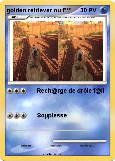 Pokemon golden retriever ou f***
