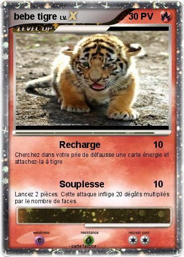 Pokemon bebe tigre