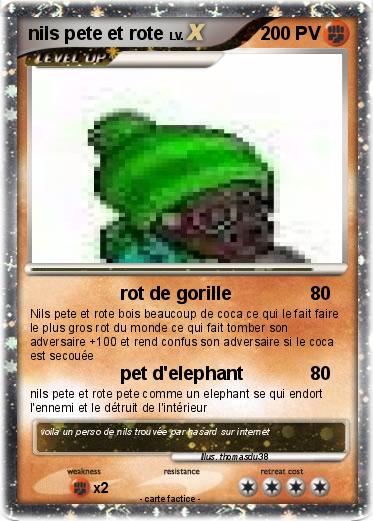 Pokemon nils pete et rote