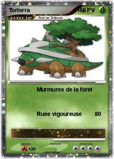 Pokemon Torterra                              1