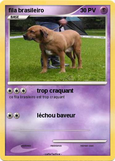 Pokemon fila brasileiro