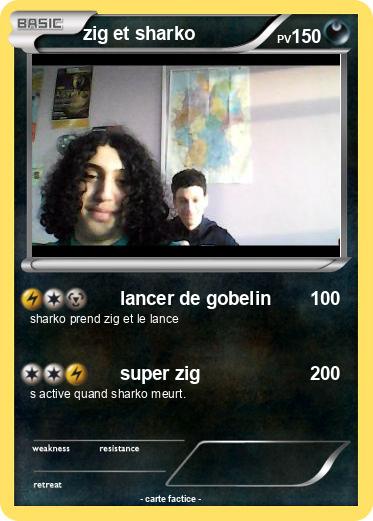 Pokemon zig et sharko