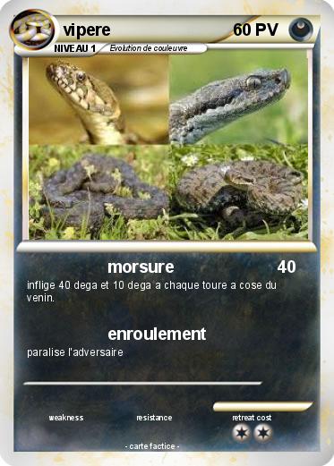 Pokemon vipere