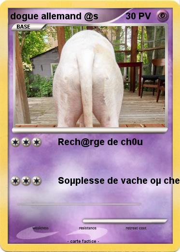 Pokemon dogue allemand @s