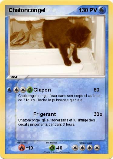 Pokemon Chatoncongel