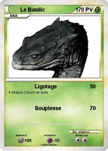 Pokemon Le Basilic