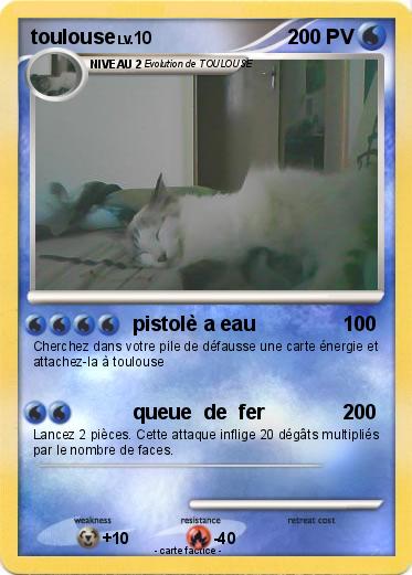 Pokemon toulouse