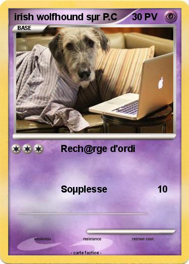 Pokemon irish wolfhound sµr P.C