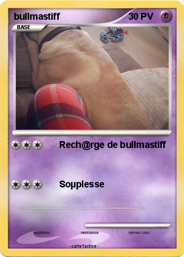 Pokemon bullmastiff