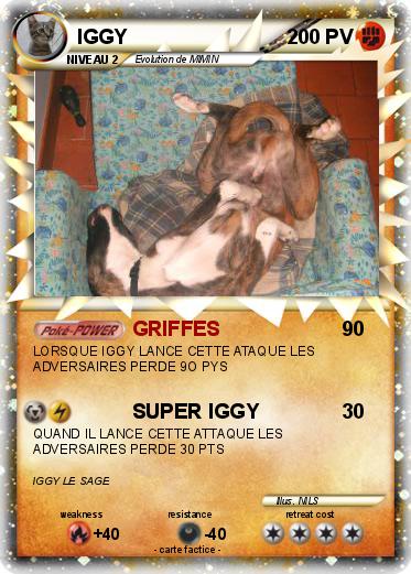 Pokemon IGGY