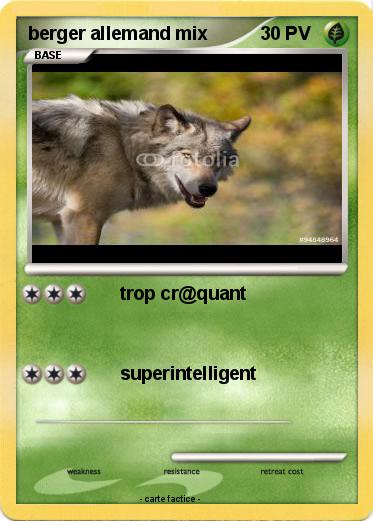 Pokemon berger allemand mix