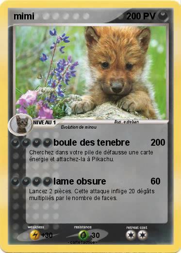 Pokemon mimi