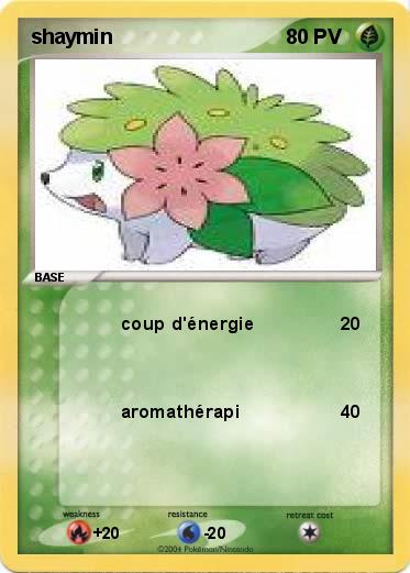 Pokemon shaymin