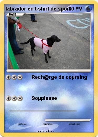 Pokemon labrador en t-shirt de sport