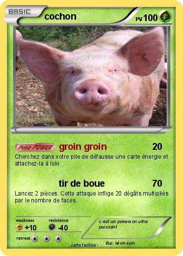 Pokemon cochon