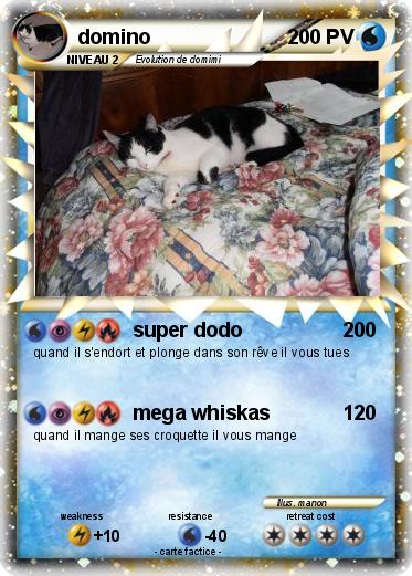 Pokemon domino