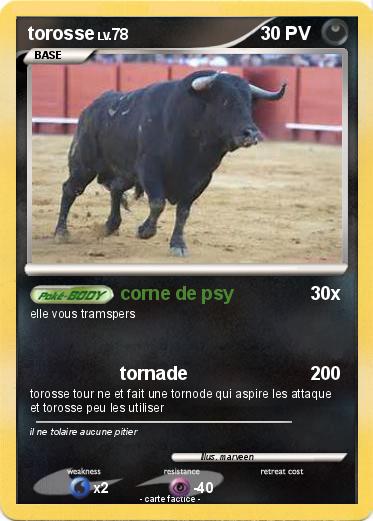 Pokemon torosse