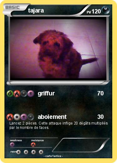 Pokemon tajara