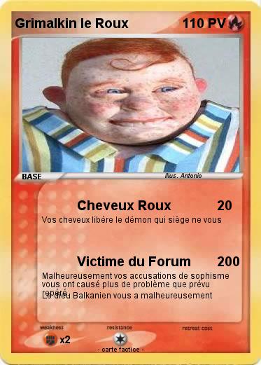Pokemon Grimalkin le Roux